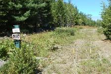 Land in Raynardton Yarmouth county - Photo 4