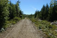 Land in Raynardton Yarmouth county - Photo 5