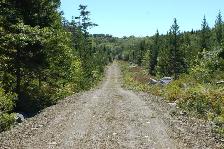 Land in Raynardton Yarmouth county - Photo 6