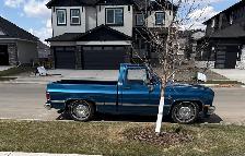 1981 C10 - Photo 2