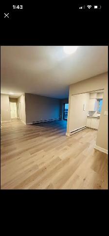 Beautiful property on Hamilton Mountain ~ renovated two bedroo - Photo 5