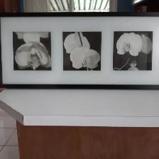 BEAU CADRE NEUF BLANC NOIR À ORCHIDÉES 28'LARGEx12'HAUT: $25.00 - Photo 3