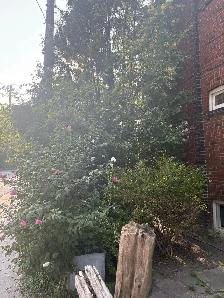 Oakwood village 2 bedroom apartment for Rentrent - Photo 5