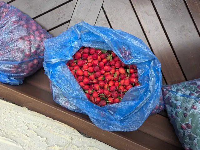 Crabapples