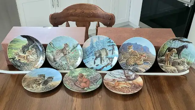 Collector Plates