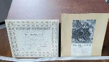 Collector Plates - Photo 4