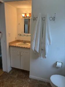 1 Bedroom Semi-Furnished Suite for Rent – $1,100/month - Photo 4