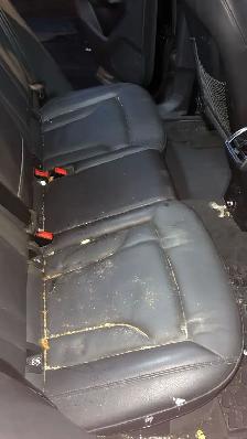 Car Detailing - Photo 3