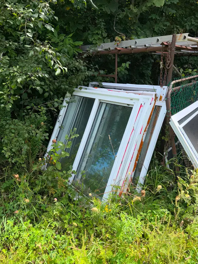 Windows