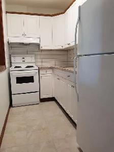 1 Bedroom Apartment for Rent in Fort Richmond - Photo 3