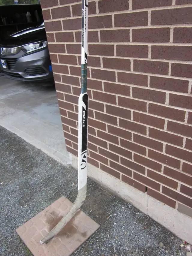 Goalie Stick