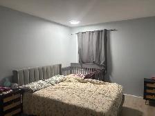 Newly renovated house for rent- West edmonton - Photo 8