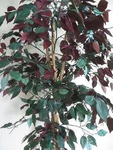 Artificial Plant - Photo 2