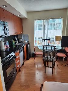 Condo Studio fully furnished Long or Short term Yonge & Sheppard - Photo 4
