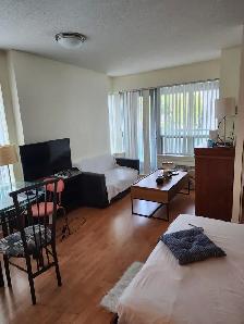 Condo Studio fully furnished Long or Short term Yonge & Sheppard - Photo 7