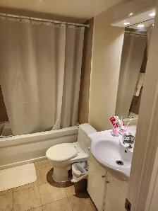 Condo Studio fully furnished Long or Short term Yonge & Sheppard - Photo 8