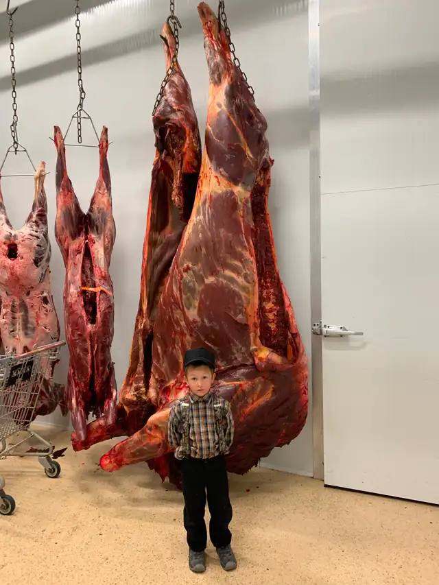 Professional Wild Game Processing Services