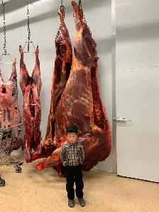 Professional Wild Game Processing Services