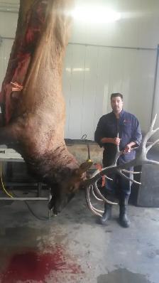 Professional Wild Game Processing Services - Photo 4