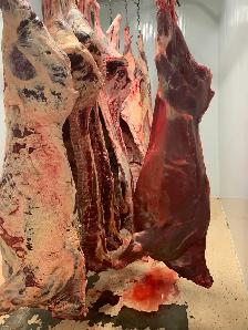 Professional Wild Game Processing Services - Photo 5