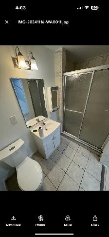 Large Basement Apartment For Rent (w/ separate entrance) - Photo 8