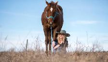Seasoned Ranch cow horse