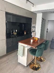 Luxury 1 Bedroom at Ten York | High Floor | Stunning Lake Views - Photo 3
