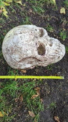 Concrete Skulls - Photo 4