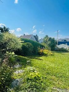 Grand 3 1/2 à louer - Photo 2