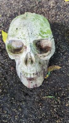 Concrete Skulls