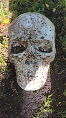 Concrete Skulls - Photo 2