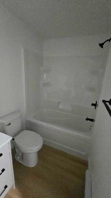 New 2 BR 1 Bath Basement suite - Photo 7
