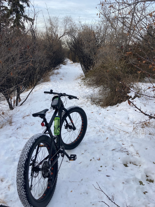 Northrock XCF Fat Bike — rarely ridden, excellent condition