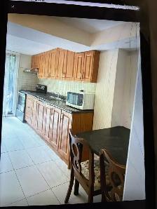 walkout basement 2 bedroom for rent