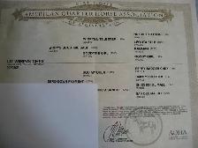 Registered AQHA Gelding - Photo 3