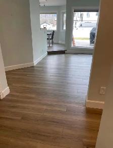 Available Skilled Carpenter Renovator
