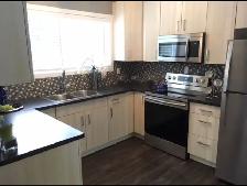 Available Skilled Carpenter Renovator - Photo 3