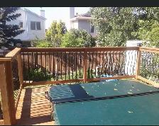 Available Skilled Carpenter Renovator - Photo 6