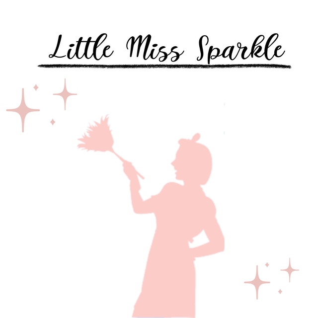 Small, Woman-owned Business Looking for a Cleaning Lady