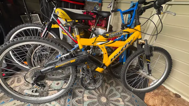 Youth bike