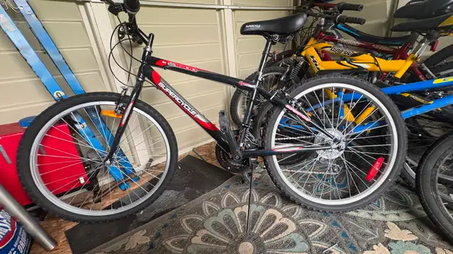 Youth bike
