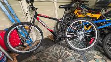 Youth bike