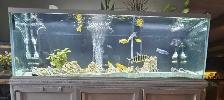 Aquarium 180 Gallons 48x24x24