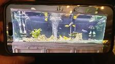 Aquarium 180 Gallons 48x24x24 - Photo 3