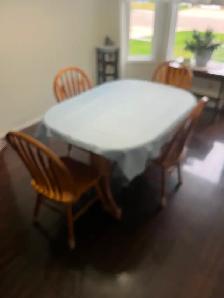 Double Pedistal solid Oak Table with 8 chairs