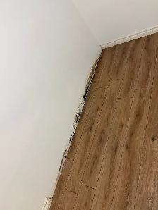 Looking for Handyman (drywall & Baseboard) - Photo 2