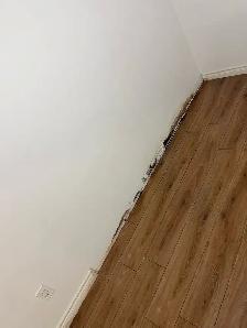Looking for Handyman (drywall & Baseboard) - Photo 3