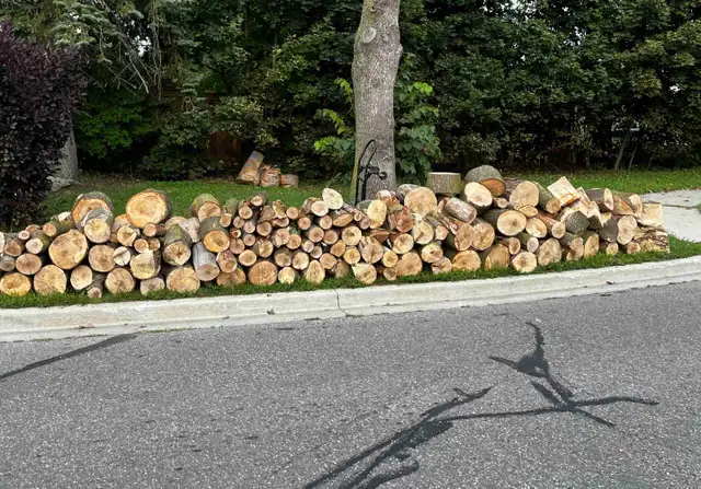 FREE MAPLE FIREWOOD