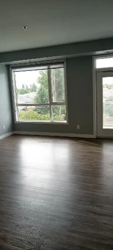 1 bedroom sublet in Steinbach - Photo 3