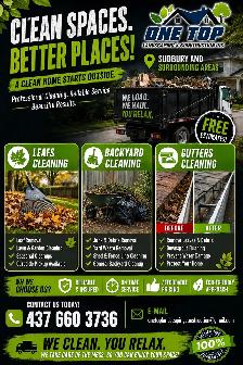 Leaf cleaning, yard cleaning, dump run and grass cutting
